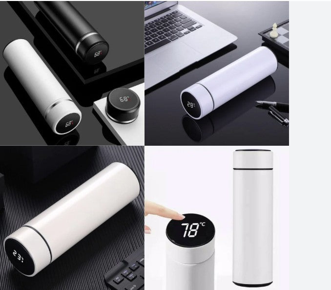 Stainless Steel Temperature Display Water Bottle